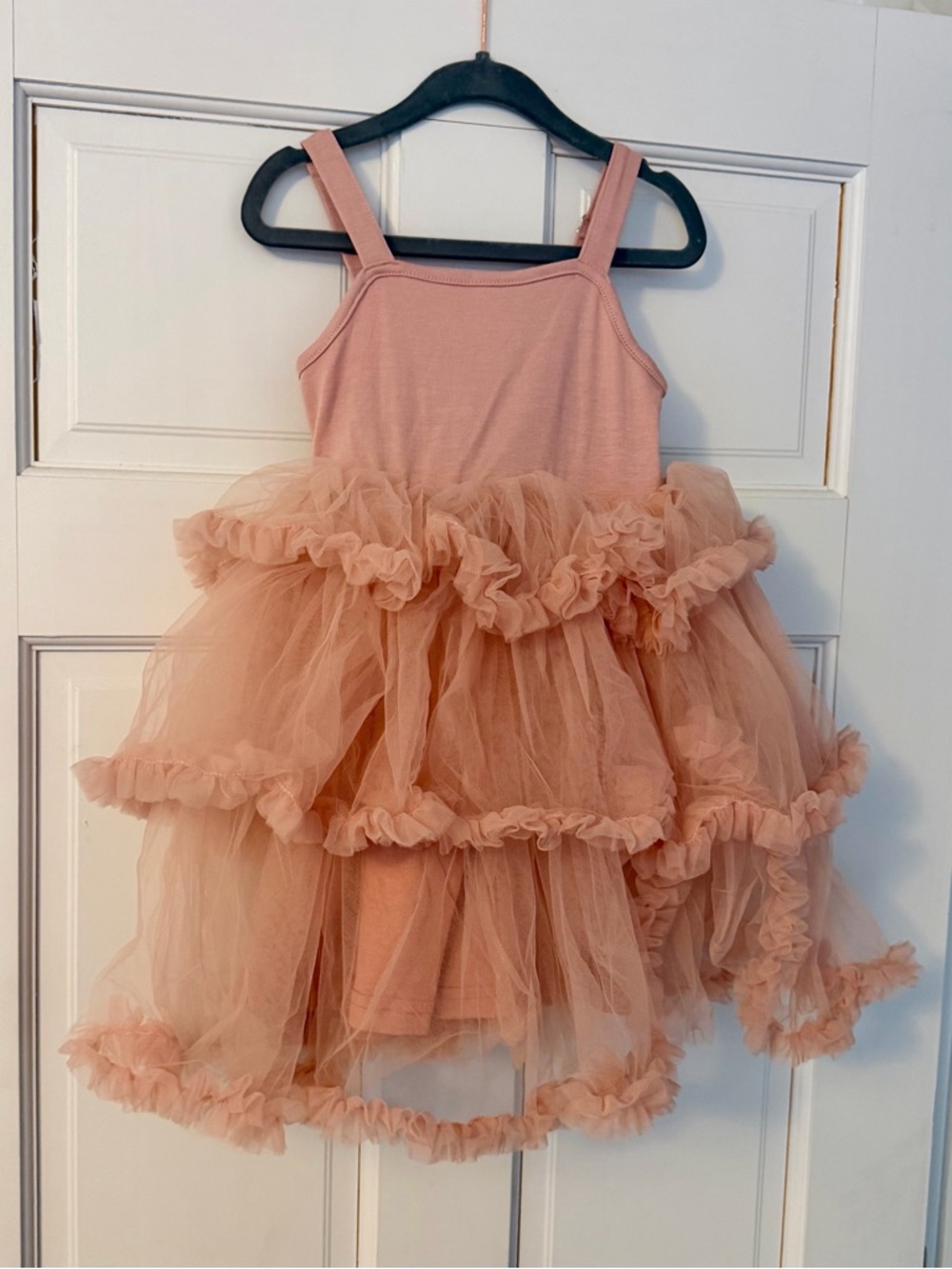 Rose Tulle Ruffle Dress size 100 (2-3T)